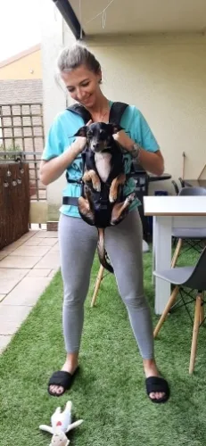 Adjustable Hands-Free Dog Backpack Carrier for Medium Breeds photo review