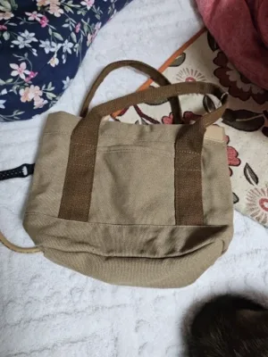 Vintage Canvas Women's Lunch Bag - Versatile Fashion Tote photo review